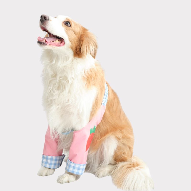 Dog Elbow Protector Sleeve – Front Leg Joint Suppor