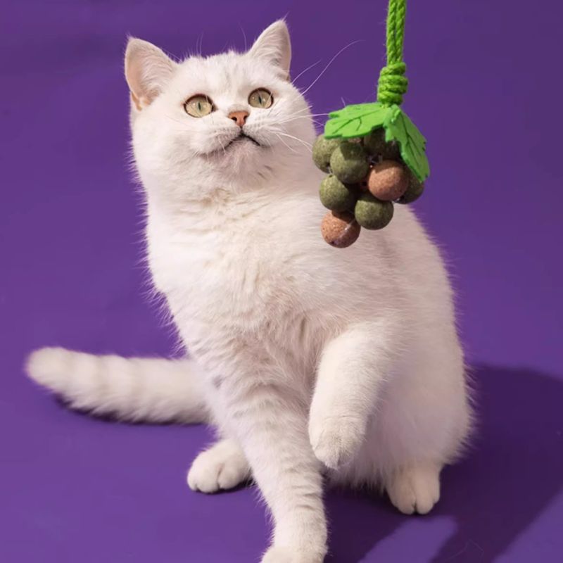 Creative Grape-Shaped Catnip Chew Toy – Stylish Dental Cleaning Toy for Cats with Cat Mint