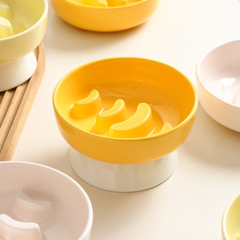 Elevated Ceramic Slow Feeder Bowl