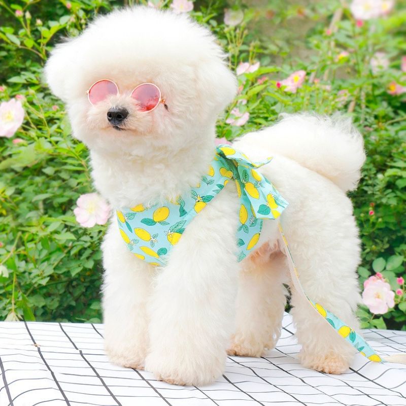 Adjustable Harness for Small Pets – Soft & Breathable Pet Vest for Cats and Small Dogs, Secure Chest Strap, Easy to Wear