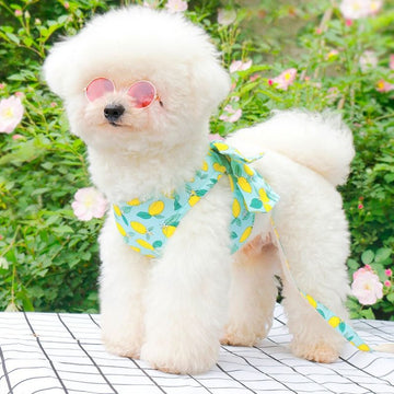 Adjustable Harness for Small Pets – Soft & Breathable Pet Vest for Cats and Small Dogs, Secure Chest Strap, Easy to Wear