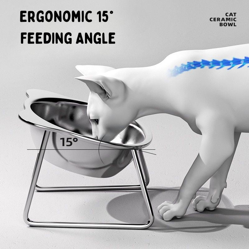 Raised Stainless Steel Pet Bowl with Base