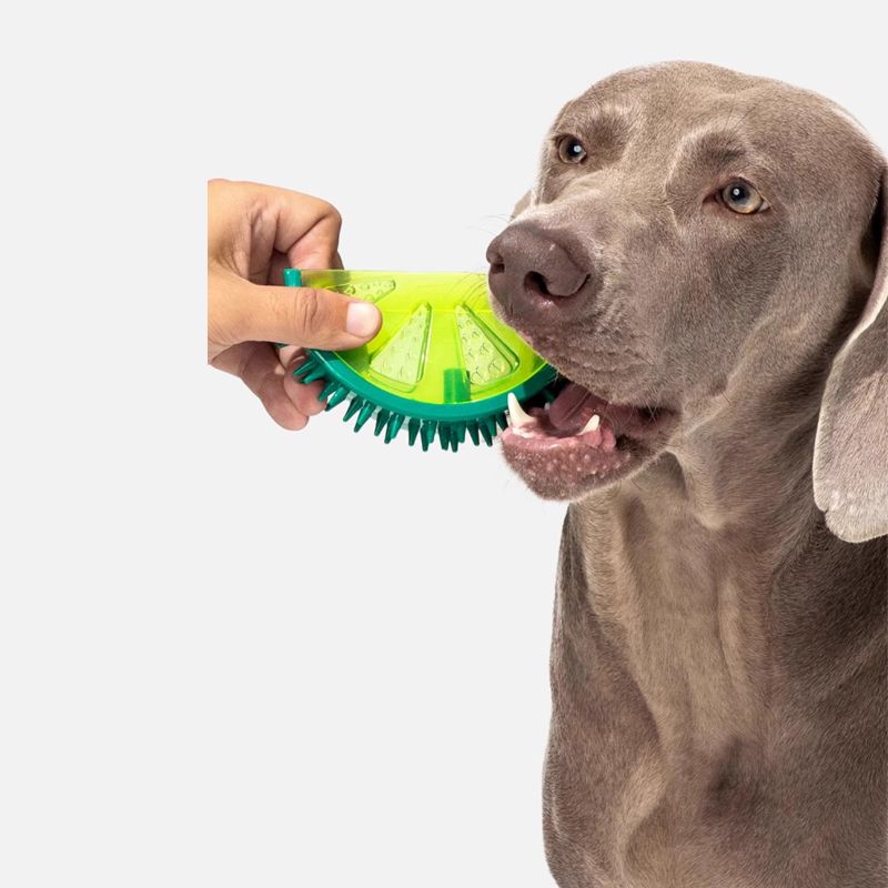 3-pack Fruit-Shaped Chew Toys – Squeaky, Dental-Friendly Soft Rubber