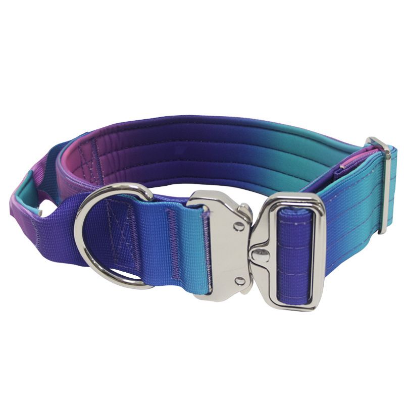 2pcs Premium Gradient Dog Collar Set – Stylish & High-Quality