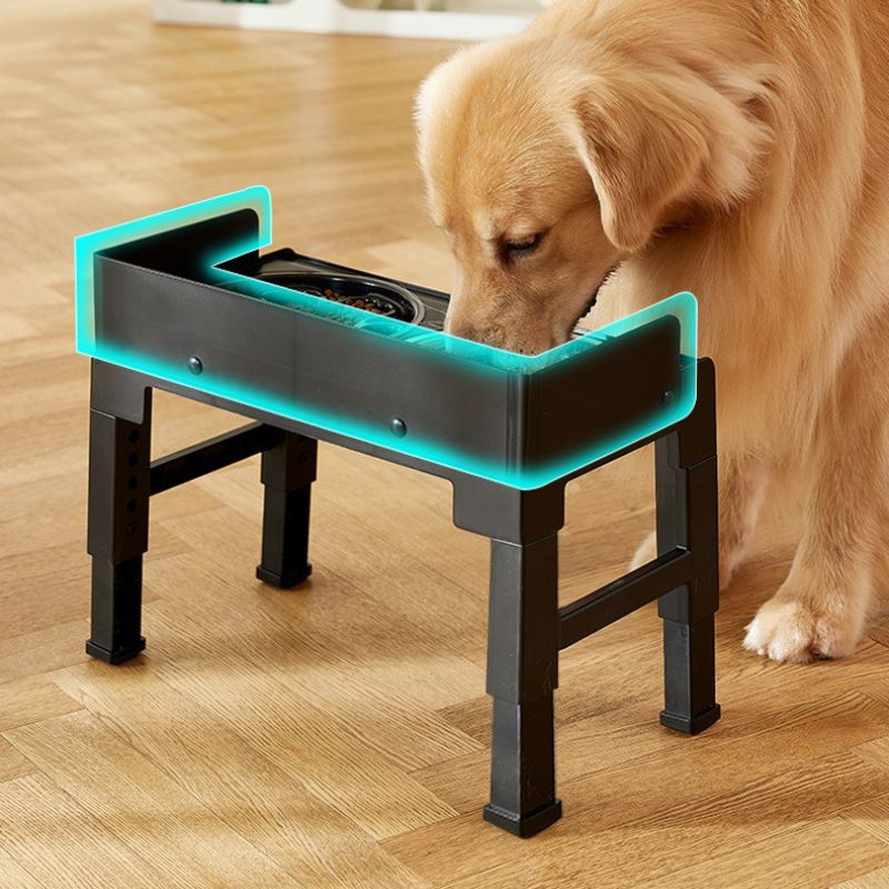 Adjustable Elevated Slow Feeder Bowl Set for Medium and Large Dogs