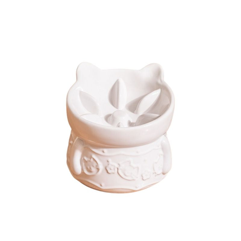 Elevated Ceramic Slow Feeder Bowl cat&small dog｜Anti-Choke Raised Dish
