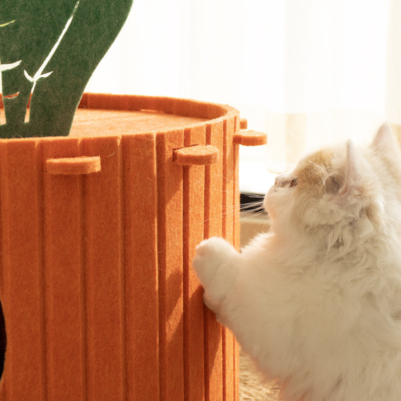Carrot Felt Cat House – Interactive Cat Cave, Scratcher & Climbing Bed