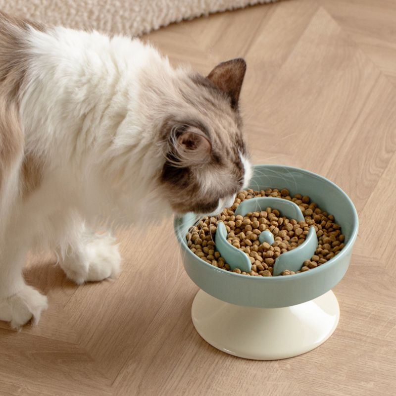 Ceramic Elevated Cat Bowl | Slow Eating Dish | Whisker-Friendly & Non-Slip