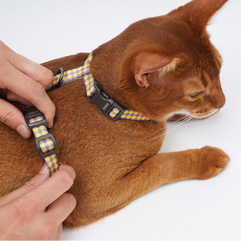 Cat Outdoor Safety Leash – Escape-Proof Adjustable Pet Harness and Leash Set