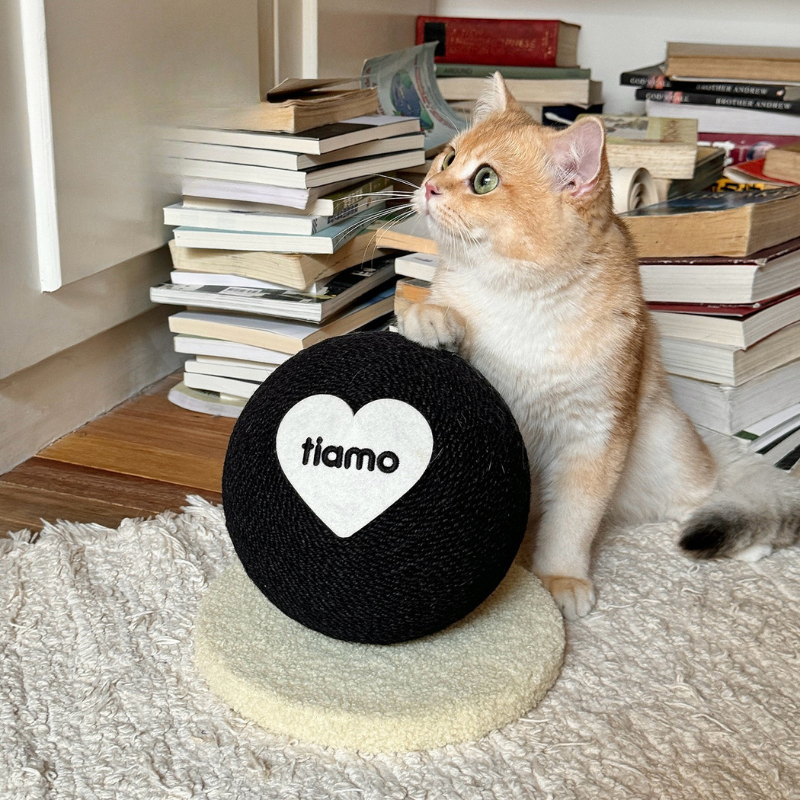 Sisal Rope Cat Scratching Ball – Interactive Cat Toy