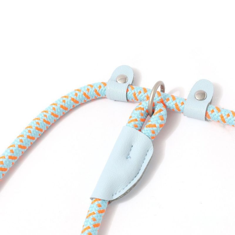 Dog P-Leash | 150cm Climbing-Grade Rope Anti-Pull Leash for Training & Heel Control