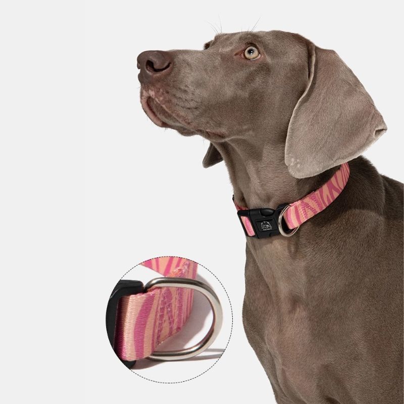 Adjustable Outdoor Dog Collar – Durable Reflective Nylon for Dogs