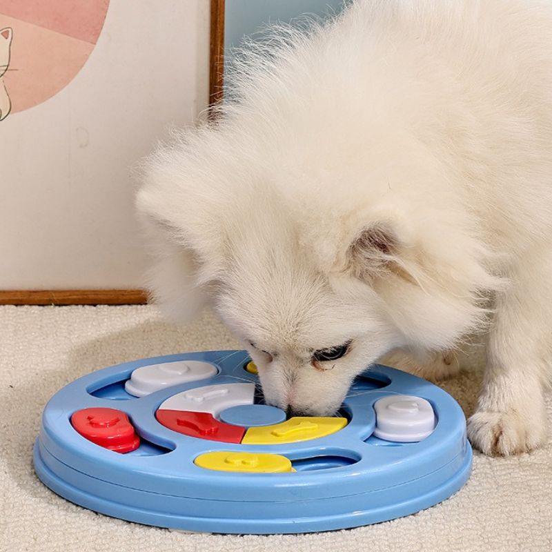 Interactive Treat Dispensing Pet Toy – Slow Feeding Puzzle Toy Level 1