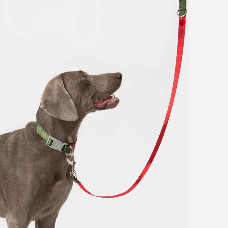 Multi-Functional Dog Leash Set with Quick-Release Handle