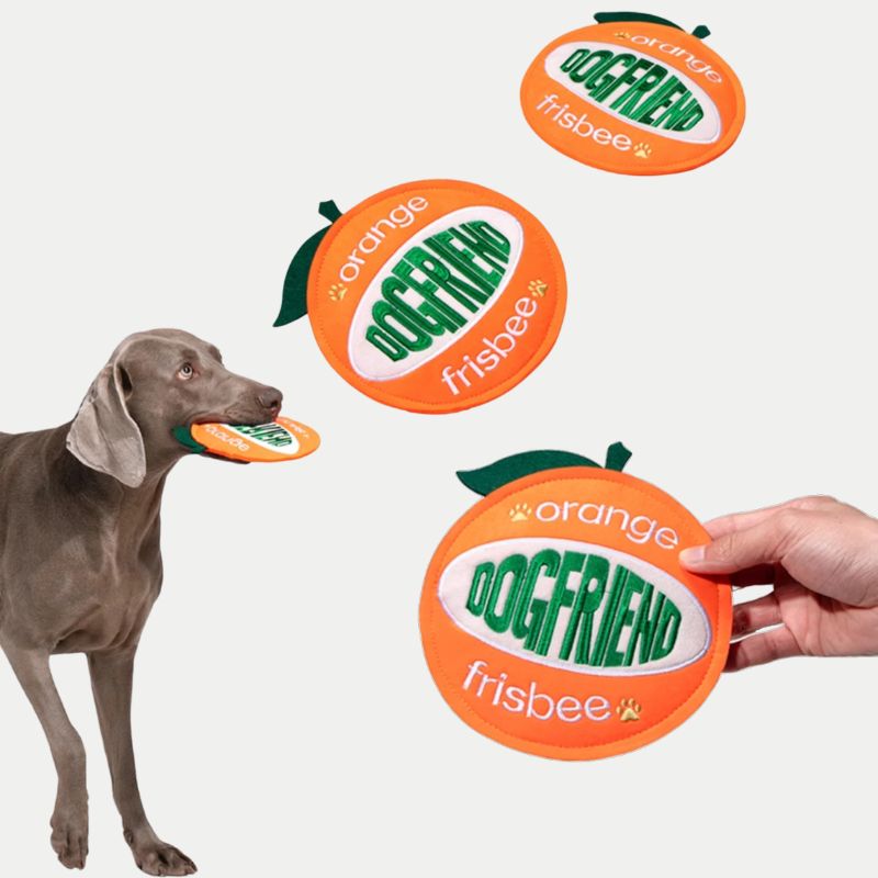 Outdoor Dog Flying Disc Toy