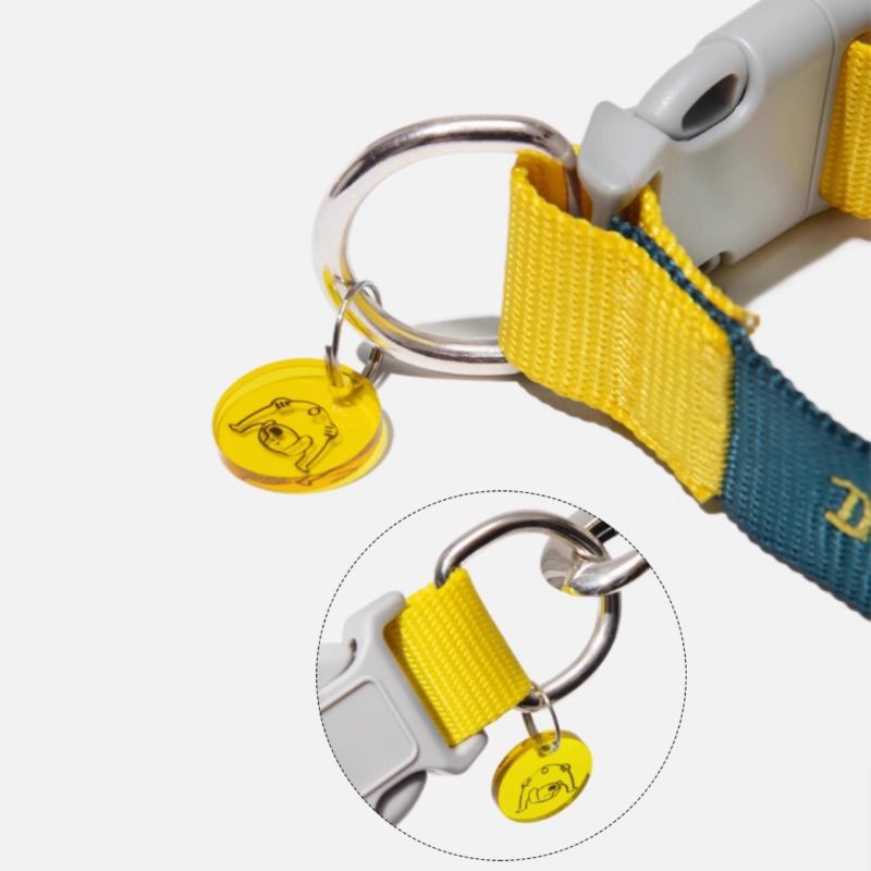 Multi-Functional Dog Leash Set with Quick-Release Handle