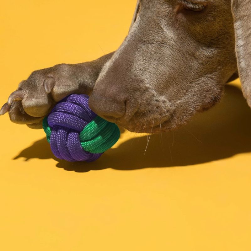 3pcs Rope Toy Set – Durable Multi-Shape Chew Toys for Dogs, Interactive and Dental-Friendly