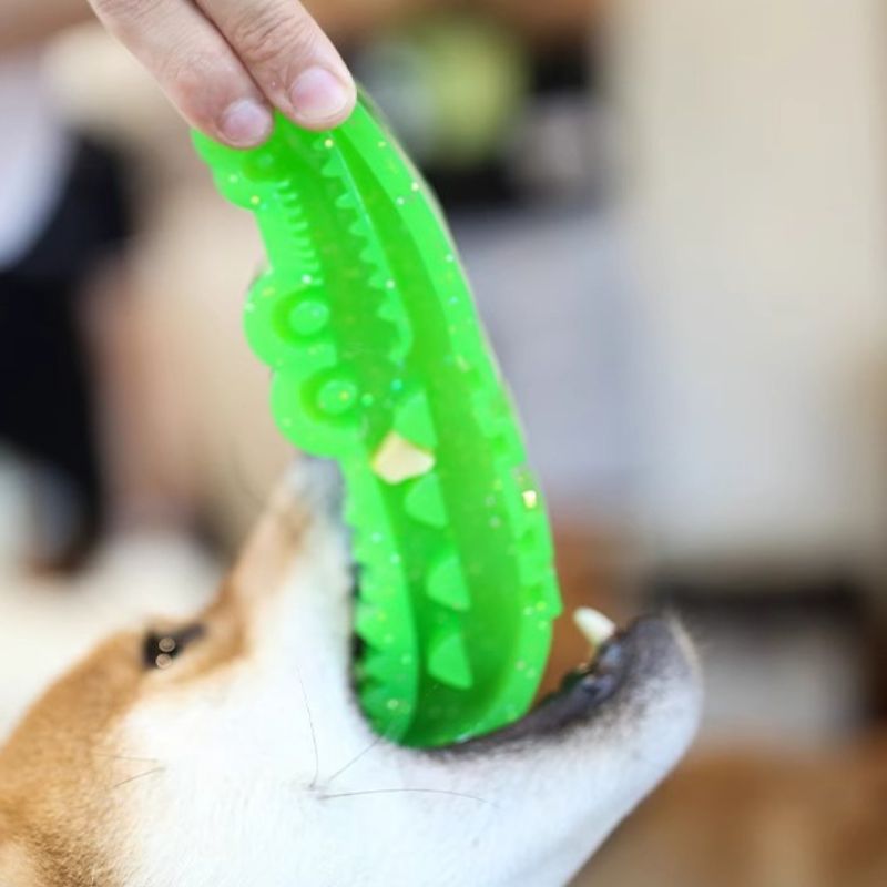 Treat Dispensing Chew Toy – Interactive Food Puzzle Toy for Dogs, Durable Bite-Resistant Enrichment Toy