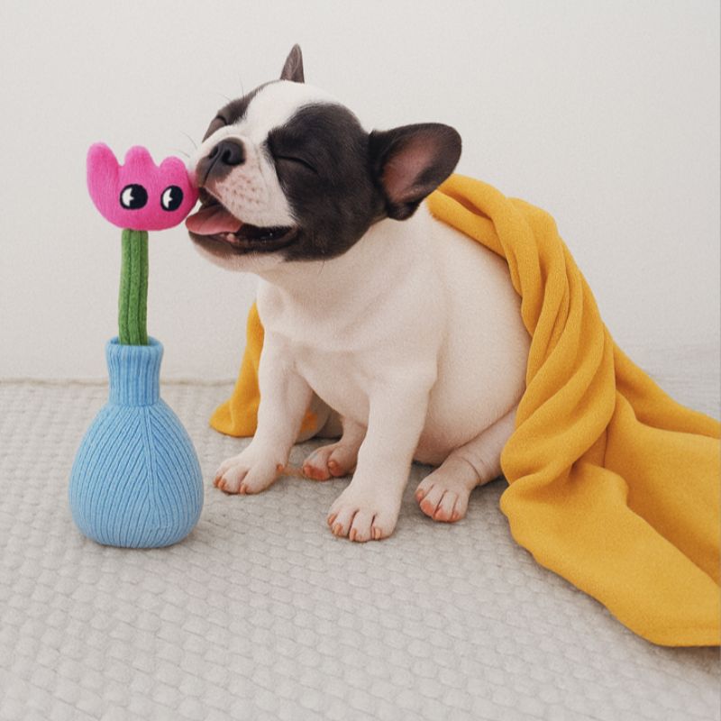 Squeaky Plush Dog Toy – Interactive Chew Toy for Dogs of All Sizes
