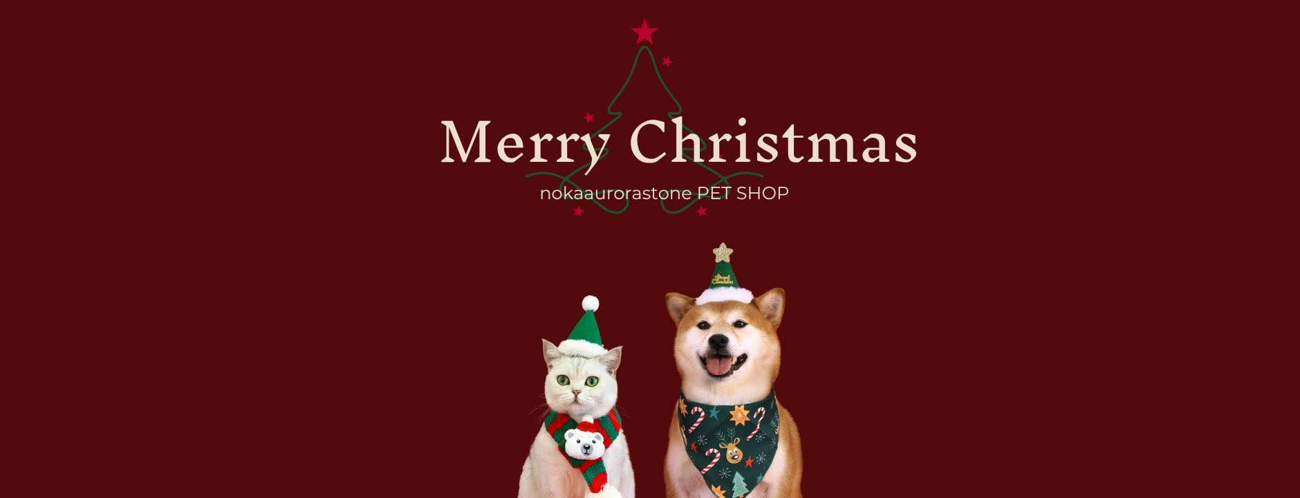 slider image 1621243260e1af0c20-0