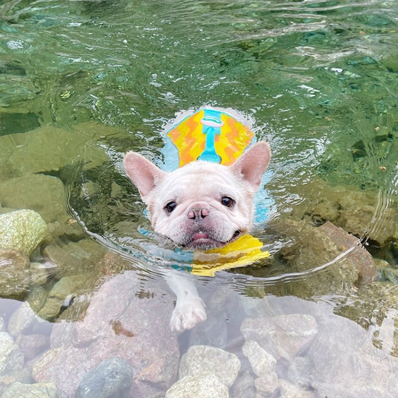 Dog Life Jacket – Safety Swim Vest with Rescue Handle, Adjustable Buckles, Multiple Sizes – view 4