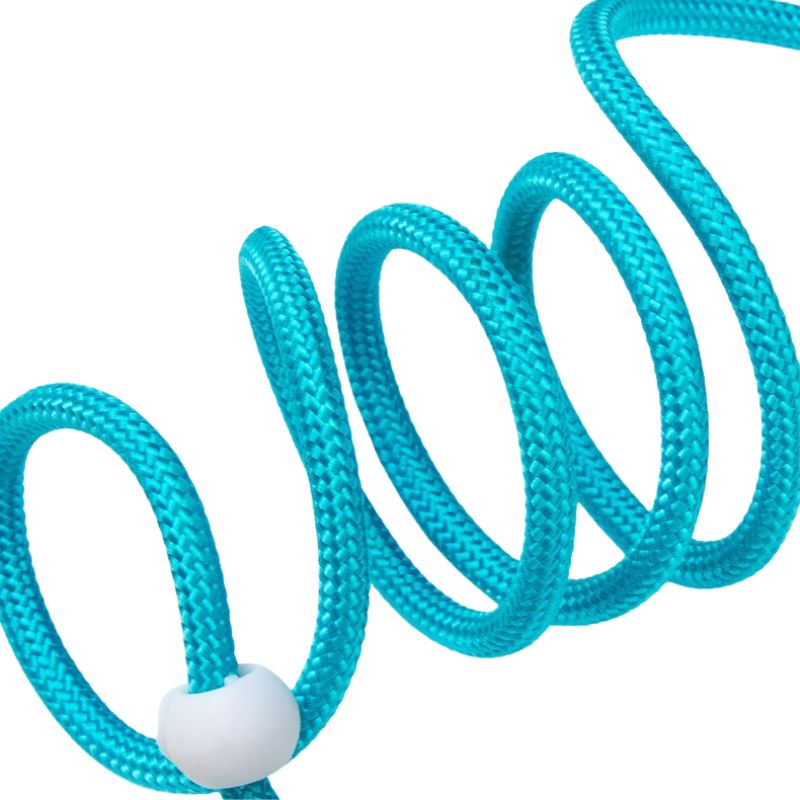 Anti-Choke Training P Leash for Dogs｜Slip-Style Lead