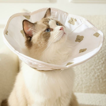 Soft Waterproof Pet Recovery Collar – Anti-Lick & Bite Cone for Cats and Small Dogs