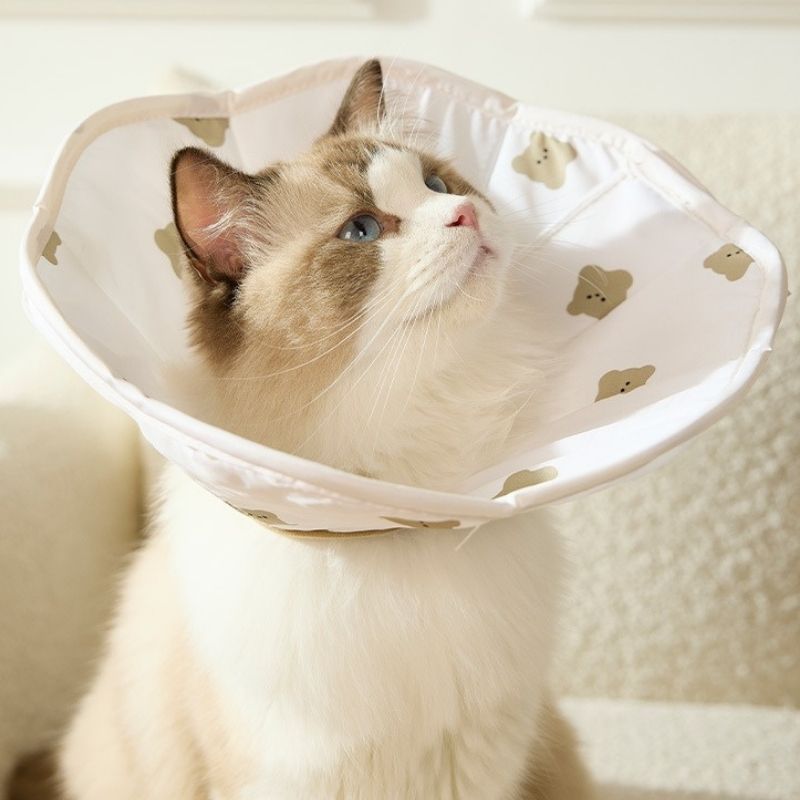 Soft Waterproof Pet Recovery Collar – Anti-Lick & Bite Cone for Cats and Small Dogs