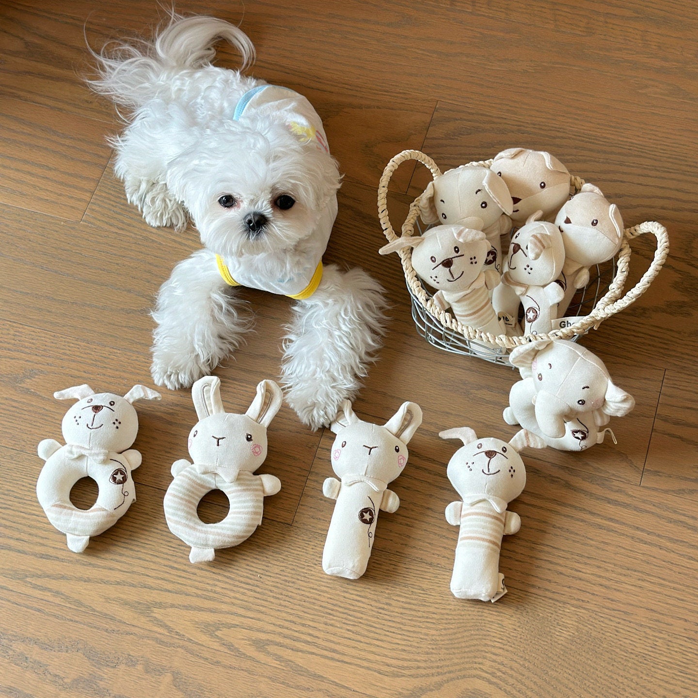 Rattle Sound Comfort Toy – Soft Plush Soothe Toy with Bell for  Small Pets