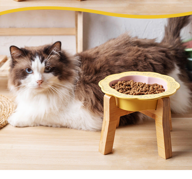 Princess-Style Porcelain Pet Bowl | Lace Edge & Easy-Clean