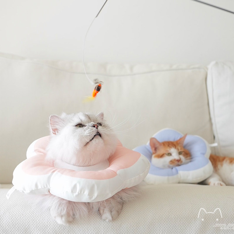 Soft Adjustable E-Cone – Post-Surgery Pet Protector