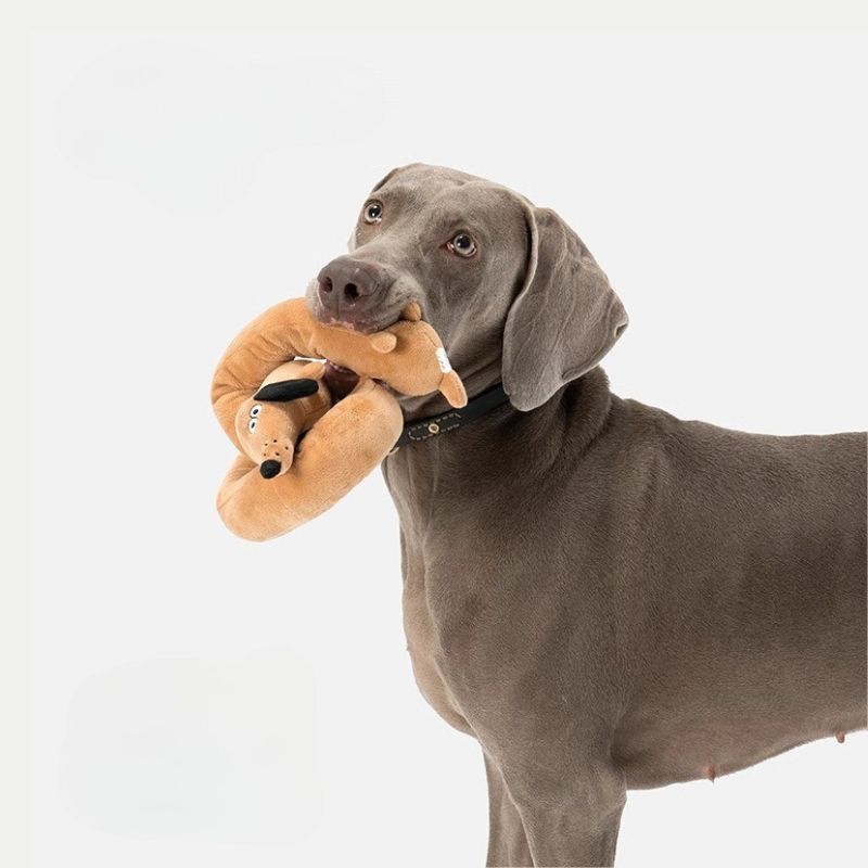 Soft Squeaky Tug Toy – Durable Plush Chew & Pull Toy for Dogs
