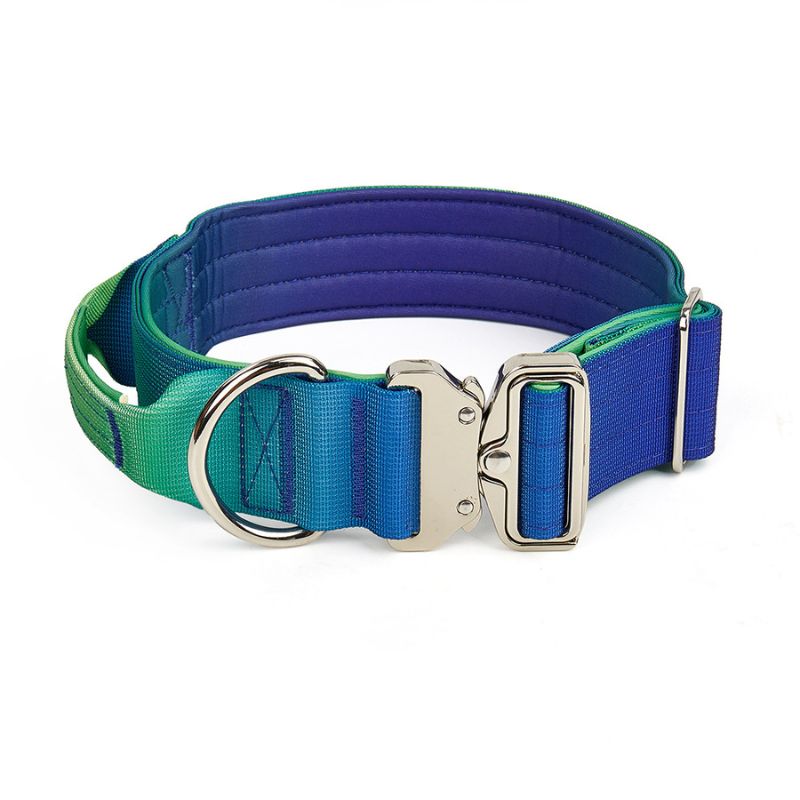2pcs Premium Gradient Dog Collar Set – Stylish & High-Quality