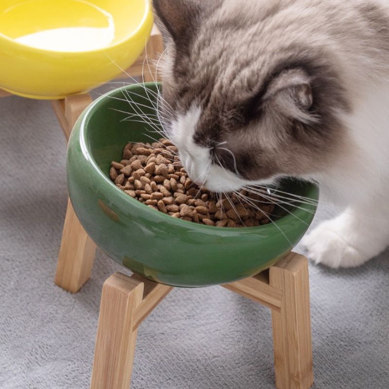 Vibrant Underglaze Ceramic Pet Bowl ｜Elevated Underglaze Feeder