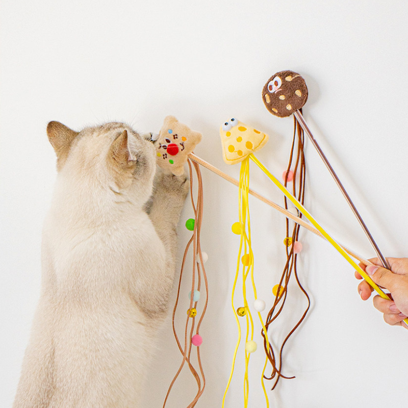 Cat Teaser Wand – Fun Interactive Toy