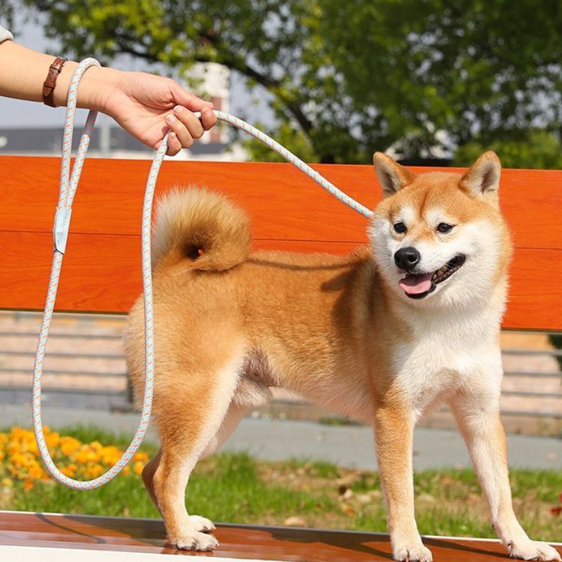 Dog P-Leash | 150cm Climbing-Grade Rope Anti-Pull Leash for Training & Heel Control
