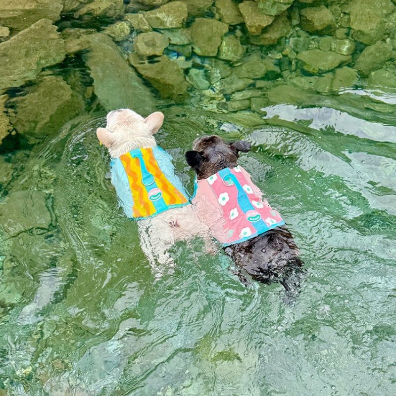 Dog Life Jacket – Safety Swim Vest with Rescue Handle, Adjustable Buckles, Multiple Sizes – view 3