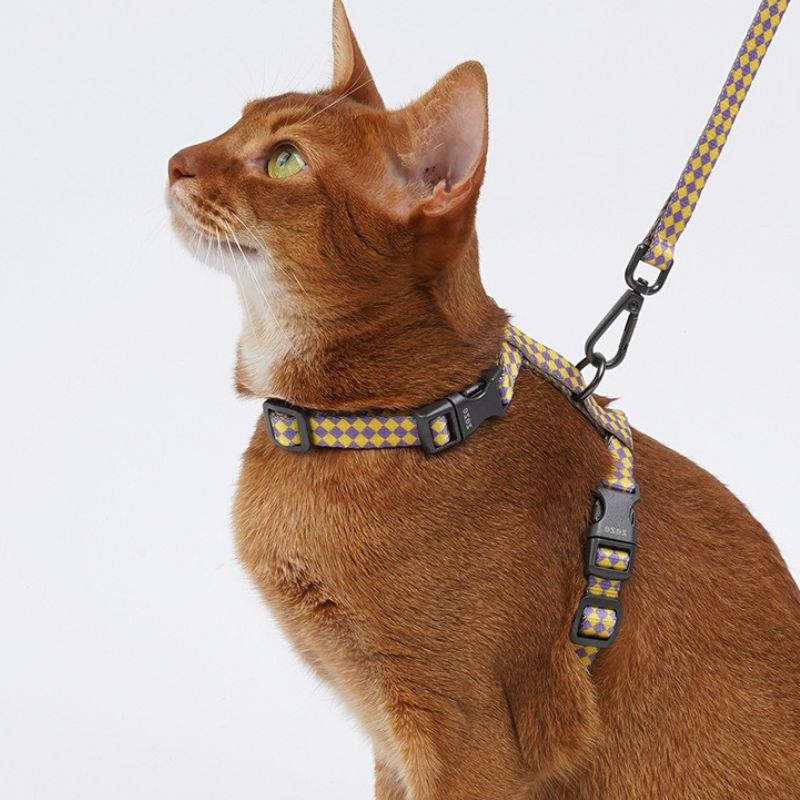 Cat Outdoor Safety Leash – Escape-Proof Adjustable Pet Harness and Leash Set