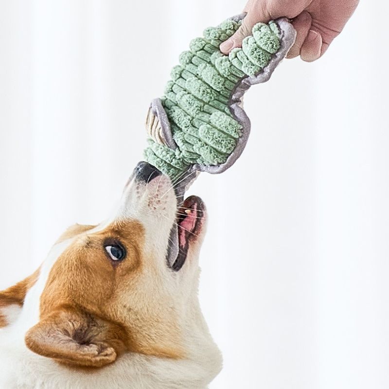 Durable Knotted Rope Chew Toy for Pets – Teeth Cleaning Tug Toy for Dogs and Puppies