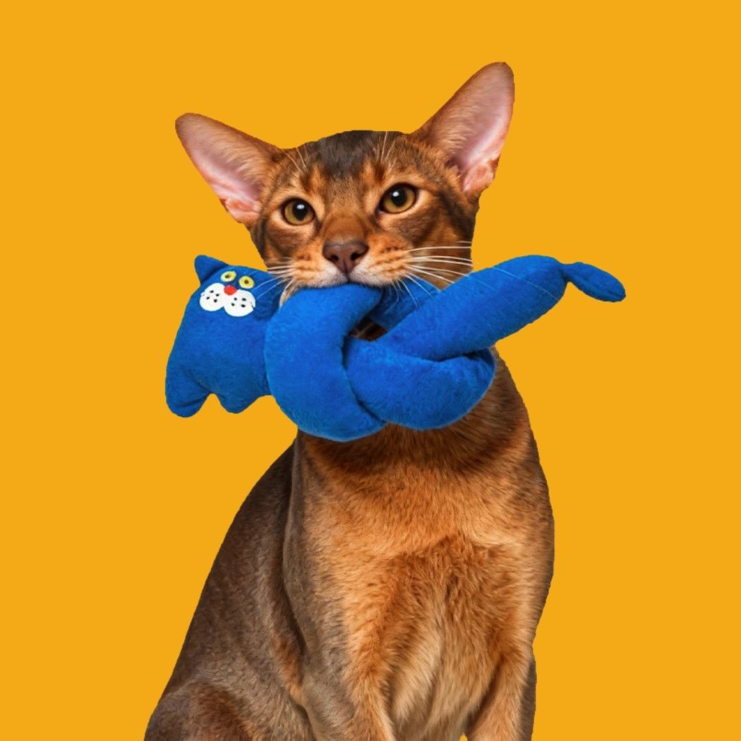 Catnip Crinkle Cat Toy – Durable Blue Plush Cat-Shaped Self-Play Toy