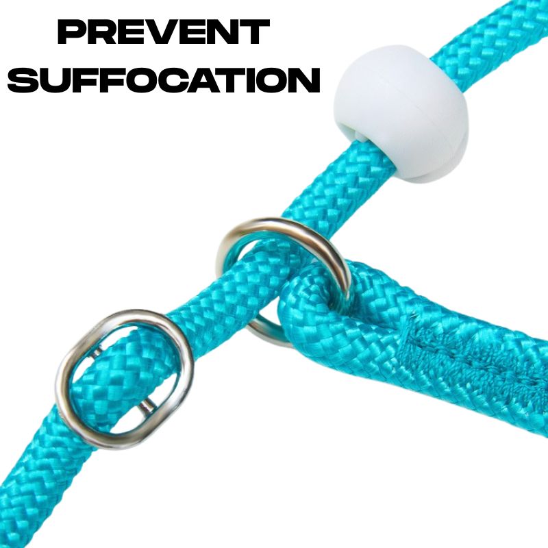 Anti-Choke Training P Leash for Dogs｜Slip-Style Lead