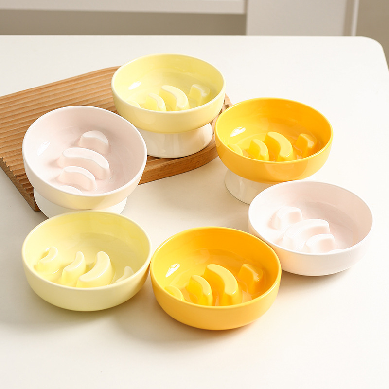 Elevated Ceramic Slow Feeder Bowl