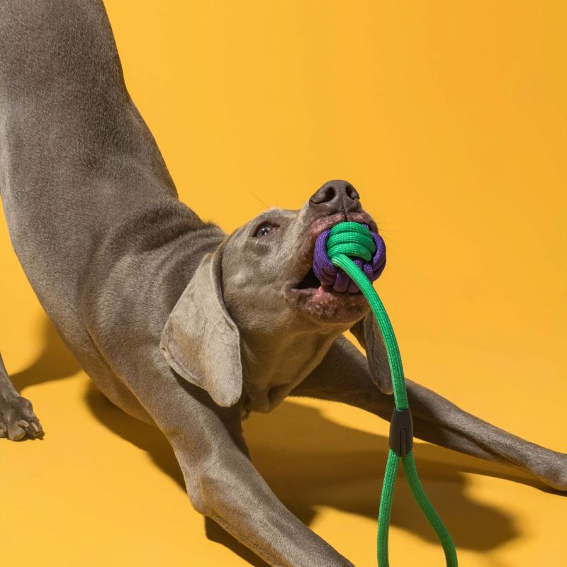 3pcs Rope Toy Set – Durable Multi-Shape Chew Toys for Dogs, Interactive and Dental-Friendly