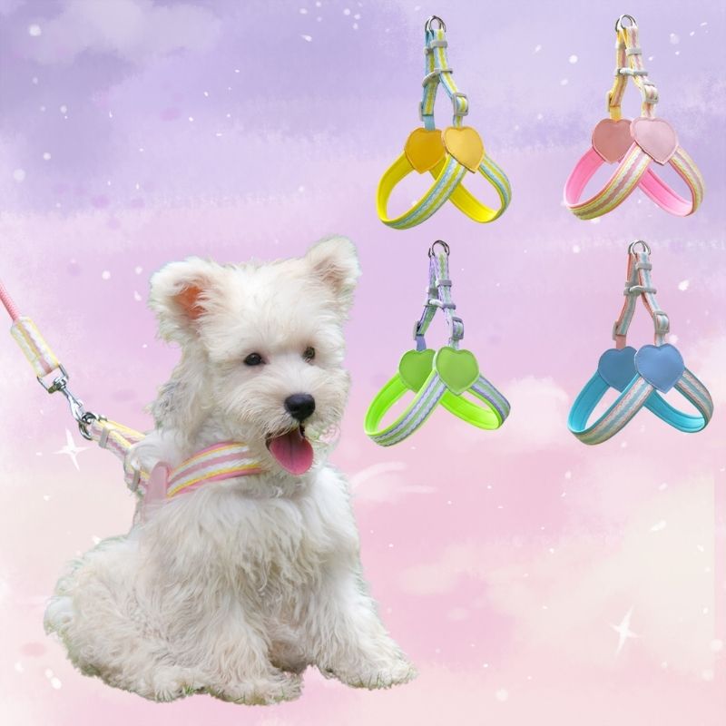 Pastel Dog Harness with Hearts – All Sizes+ Free Leash