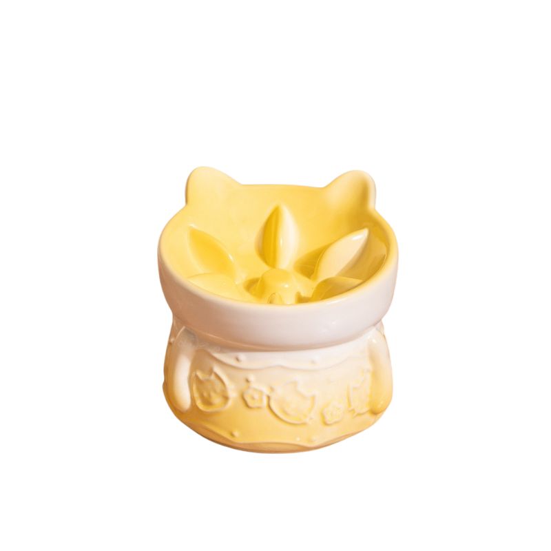 Elevated Ceramic Slow Feeder Bowl cat&small dog｜Anti-Choke Raised Dish