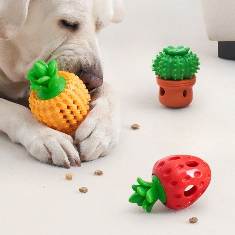 Treat Dispensing Chew Toy for Pets – Interactive Puzzle Food Feeder Toy for Dogs and Cats