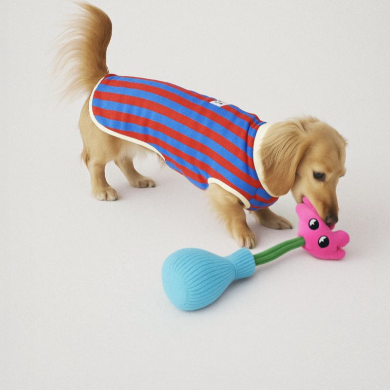 Squeaky Plush Dog Toy – Interactive Chew Toy for Dogs of All Sizes
