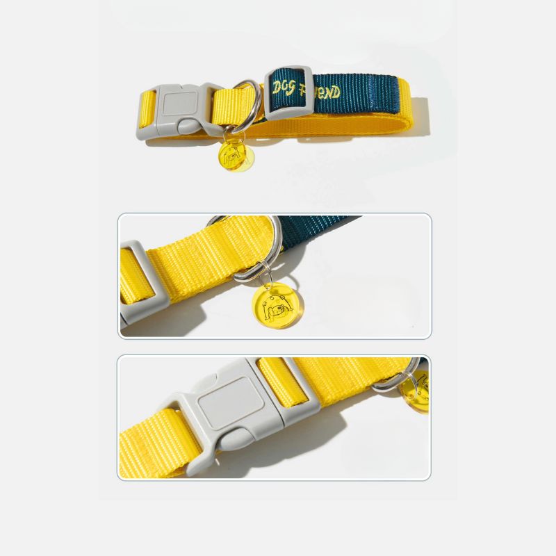 Multi-Functional Dog Leash Set with Quick-Release Handle