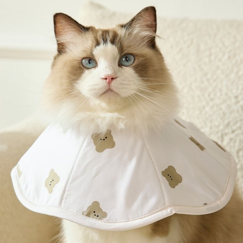 Soft Waterproof Pet Recovery Collar – Anti-Lick & Bite Cone for Cats and Small Dogs