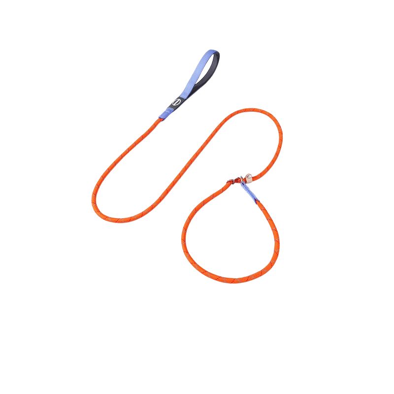 Professional P Dog Leash – Slip Lead for Dog Training(No Pull Design)